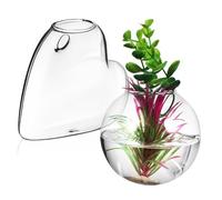 BESTonZON 2Pièces Jardinières Murales Suspendues Borosilicate Lot de Vases pour Plantes Hydroponiques Décoration Murale Installation Facile avec Matériel