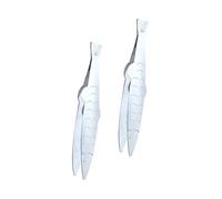 BESTonZON 2pièces Pince À Poisson Acier Inoxydable Pincettes Multifonctionnelles pour Retirer Les Arêtes Et Poils Ustensiles De Cuisine Pratiques