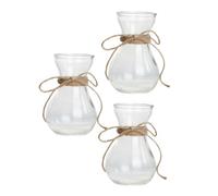 BESTonZON 3 pièces Set de Vases Transparent pour Décoration de Bureau Support pour Plantes Hydroponiques et Arrangement Floral Pot de Fleur Intérieur Moderne