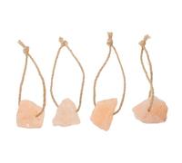 BESTonZON 4 Pièces Bloc de Sel pour Animaux de Compagnie Lick Salt Blocks pour Hamsters et Autres Petits Animaux