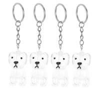 BESTonZON 4pièces Boîte Souvenir pour Poils Animaux Porte-clés Commémoratif Capsule Transparente Conteneur De Rangement pour pour Propriétaires Animaux