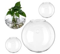 BESTonZON 4pièces Pots De Multiplication Muraux Verre Supports pour Terrariums Jardinières Suspendues Rondes Vases Muraux Intérieur pour Plantes Hydroponiques