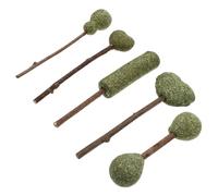 BESTonZON 5pièces Sucettes à Herbe à Chat Comestibles Bâtonnets Naturels Herbe à Chat pour Lot de Friandises sans Danger
