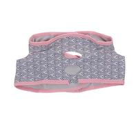 BESTonZON 6pièces Plaques Mica Pour Réparation De - De Accessoires De Four à - Remplacement Des Plaques Mica