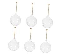 BESTonZON 6pièces Vase Suspendu Verre Transparent Support pour Plantes Fleuries Forme de Boule Bouteille Écologique Suspendue Contenant pour Micropaysage
