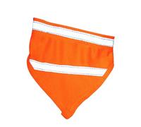 BESTonZON Bandana pour Chien avec Bande Adhésive Écharpe Réfléchissante pour Promenade Nocturne Accessoire Confortable pour Animaux De Compagnie