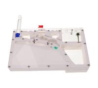 BESTonZON Boîte à Insectes Écologique pour Garçon Fille Fourmilière Transparente Portable avec Zones Observation Naturelles Kit Éducatif Exploration et Apprentissage Scientifique