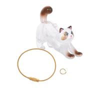 BESTonZON Boîte de Rangement Poils de Chat Transparente Porte-clés Capsule Chat Souvenir Boîte Commémorative Pratique et Légère pour Collection