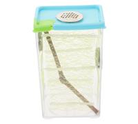 BESTonZON Boîte Délevage Transparente pour Reptiles et Insectes Terrarium Éducatif Facile à Utiliser Habitat Clair pour Phasmes et Mantes Boîte Dalimentation Pratique pour Observation et