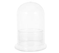 BESTonZON Cloche de Jardin en Verre Transparent pour Micro-Paysage : jardinière à air pour Plantes aériennes, Contenant Floral pour Micro-Paysage en Mousse