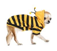 BESTonZON Costume d'abeille pour Animaux, Sweat à Capuche Chaud en Polaire Fine, Taille XL, Vêtement d'hiver pour Chats Et Chiens, Protection Le Froid pour Petits Animaux