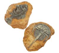 BESTonZON Décors de Terrarium Reptiles en Résine, Décorations Fossiles Réalistes Trélyphes, Lot 2 Pièces, Ambiance Naturelle pour Vivarium de Petits Reptiles et Lézards