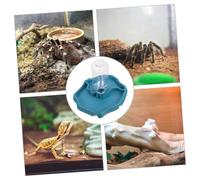 BESTonZON Distributeur Eau Automatique pour Reptiles avec Bol Intégré Compact et Sécurisé pour Tortues Terrestres Lézards et Petits Reptiles Alimentation Automatique et Entretien Facile
