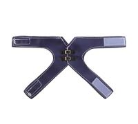 BESTonZON Gilet pour Oiseaux en Similicuir Bleu L Réglable, Harnais de Vol Léger pour Perruches et Calopsittes, Équipement Extérieur Confortable pour Entraînement et Sorties en Plein Air