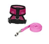 BESTonZON Harnais pour Coq avec Laisse Intégrée Gilet Confortable pour Dressage Et Promenade Animaux De Compagnie