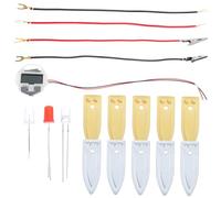 BESTonZON Kit Scientifique DIY Batterie Fruitée Éducatif pour Garçon Fille Expérience Électrique Créative et Sensorielle Matériel et Facile à Utiliser pour Apprentissage Physique et Projet