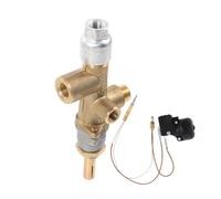BESTonZON Kit Thermocouple de Sécurité pour Chauffage Extérieur Capteur Thermomètre Basculement avec Thermique Accessoire de Remplacement pour Parasol Chauffant et Système Darrêt