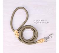 BESTonZON Laisse pour Chien Robuste en Nylon 1 Cm x 1,25 m Beige, Corde D’Escalade Solide, Fermoir Solide en Métal, Usage Dressage Et Promenade pour Chiens Actifs