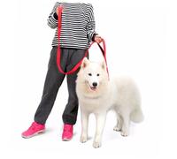 BESTonZON Laisse Réfléchissante pour Chien Nylon Double Poignée Robuste et Laisse de Dressage pour Chiens Moyens et Grands Rouge