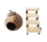 BESTonZON Lot De 2 Jouets à Mordre en Bois Naturel Et Coque De Noix pour Hamster, Maison pour Petits Animaux, Nid Confortable, Solide Et Écologique, pour Hamsters Et Petits Rongeurs en Intérieur