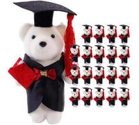 BESTonZON Lot de 20 Ours en Peluche pour La Remise des Diplômes, Décorations de Bouquet de Fleurs, Cadeaux de Fin D'études à Faire Soi-même pour (2026), Petits Ours en Peluche pour