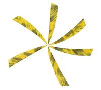BESTonZON Lot De 6 Ailettes De Tir À l'arc en Forme De Bouclier Véritable Plume pour Flèches De Dinde Bricolage Équipement De Tir À l'arc