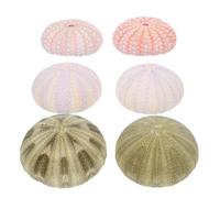 BESTonZON Lot de 6 Ornements d'Aquarium Naturels Multicolores Coquillages Oursins et Conques pour Décoration Marine Accessoires Décoratifs Sécurisés pour Poissons pour Couleur Aléatoire