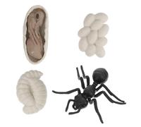 BESTonZON Modèles Jouets Fourmis Ouvrières Simulation Cycle de Vie Éducatif pour Garçon Fille Set Apprentissage Intérieur