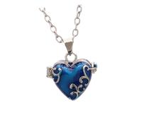 BESTonZON Pendentif Cœur pour Animaux De Compagnie Collier Urne Petite avec Chaîne Souvenir Près De Votre Cœur