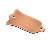 BESTonZON Plaque de Recouvrement pour Tige de Renfort de Guitare Accessoire pour Guitares et Basses Protection de Manche sans Rayures Remplacement