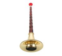 BESTonZON Suona Chinois Résine Abs Haute Résistance Imitation Bois Instrument à Vent Traditionnel D Clé pour Débutants Festivals et Performances Culturelles
