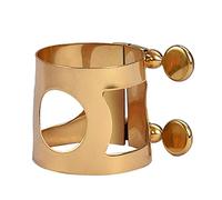BESTOYARD Carte Tube pour Laiton de Or le Saxophone Ténor Vis Double Stabiliser et Offrir un Son, Clip Élégant Adapté aux Instruments à Vent