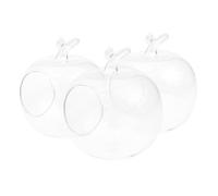 BESTOYARD Lot De 3 Bouteilles Hydroponiques en Verre en Forme De Pomme De 10 Cm, Transparentes, pour Micro-Paysage, Décoration De Table, pour, Bureau Ou La Table