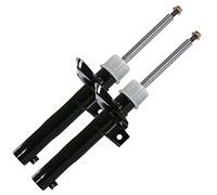 BESTPRICE 2x amortisseur ˆ gaz avant jambe de suspension bi-tube