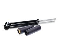 BESTPRICE 2x amortisseurs à gaz arrière jambe de suspension incl. Kit anti-poussière Compatible avec AUDI A1, SEAT IBIZA, SKODA FABIA 1, FABIA 2, FABIA 3 (NJ3), VW FOX, POLO (9N_, 9A_) (6R1, 6C1)