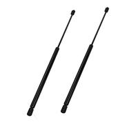 BESTPRICE 2x vérins à gaz hayon 460 N vérin à gaz amortisseur de coffre Compatible avec MERCEDES-BENZ Classe B Sports Tourer (W245)