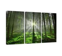 bestpricepictures 160 x 90 cm impression sur toile arbre forêt 1130 - peinture / image / tableau / decoration sur châssis