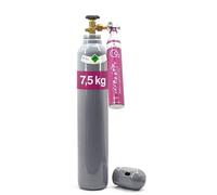 Bestschweissen.de Kit adaptateur de transvasement pour SodaStream avec bouteille de CO2 (3,7 kg/5 kg/7,5 kg) avec tube montant et cylindre de CO2 Rosa Quick Connect, compatible avec Duo/Terra/Art (kit