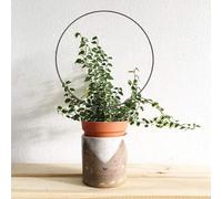 Besttoolifes Cadre de support rond en forme de cœur en fil d'acier avec revêtement en plastique pour tomates, poivrons, aubergines et plantes grimpantes (rond)