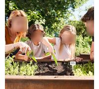 Besttoolifes Distributeur de semis portable pour démarrage, débit réglable et prise en main ergonomique, kit d'outils de plantation en plastique vert pour jardiniers et petits-S