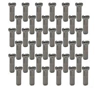 Besttoolifes Lot de 36 écrous pour rayons de vélo 14 mm H62 en laiton zinc pour route 14 G pour composants de roue, argent