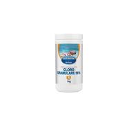 Bestway - 59004 - Dichloro Granulaire 56% 1 KG 6942138915242