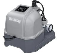 Bestway Chlorateur au Sel 12 g/h - 1 pcs
