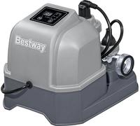 Bestway Chlorateur au Sel 6 g/h - 1 pcs
