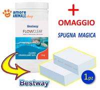 Bestway - 59004 - Dichloro Granulaire 56% 1 KG 6942138915242