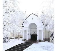 BESTXH Noir,20in*30in, Tapis Chauffant AntidéRapant pour Fonte De Neige, Tapis Chauffant pour AlléEs De Neige Et De Glace, Tapis D'Escalier ExtéRieur d'hiver avec Cordon d'alimentation