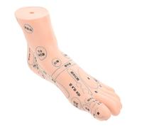 BESTYASH 1 Pièce Modèle de Massage Modèle de Réflexologie Points Acupunctures pour Enseignement et Scolaire Matériau Durable et