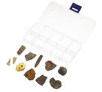 BESTYASH 10 pièces Coffret Spécimens Fossiles Paléontologiques Naturels Trilogies Kit Décoration Éducative Enseignement Archéologie Fossiles Minéraux