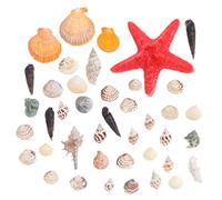 BESTYASH Coquillages Naturels Et Escargots De Mer pour Décoration De Micropaysage Et Aquarium Bricolage avec Coquillages De Plage