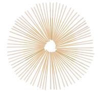 BESTYASH Cotons-tiges Longs De Beauté 150 Pièces Sticks Fins Pour Nettoyage Précis Maquillage Femmes Usage Salon Maison